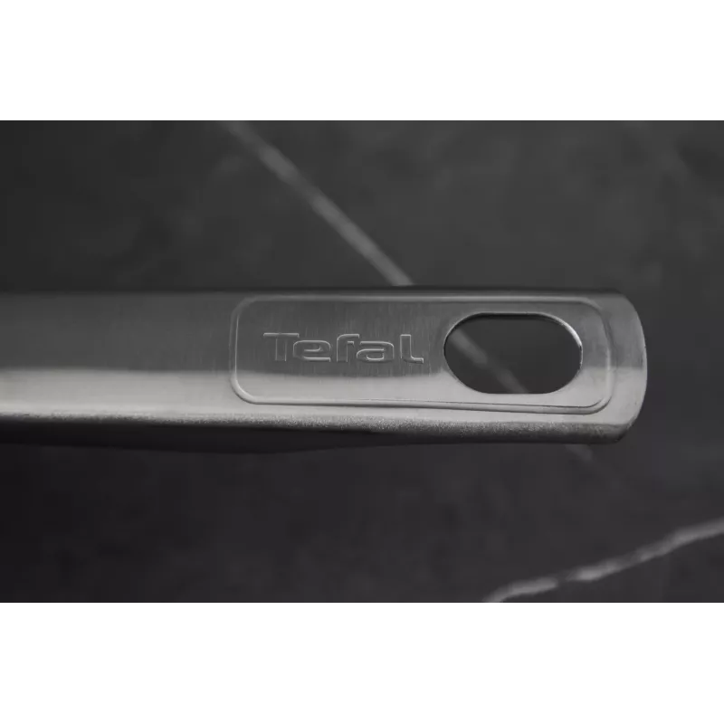 Universālā panna Tefal E49206