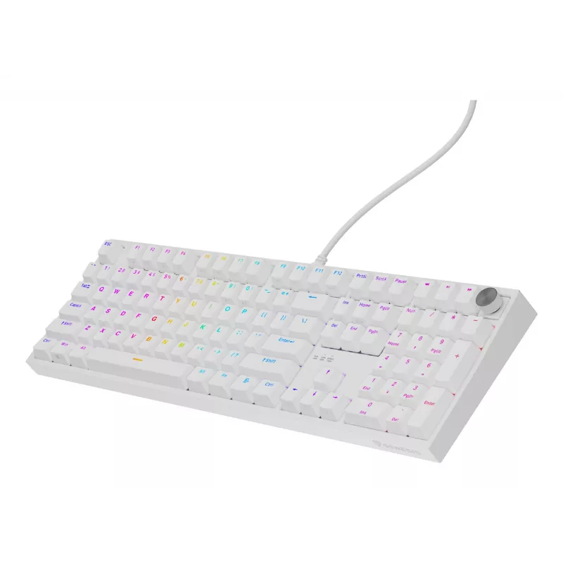 GENESIS NKG-2300 klaviatūra, vadu, USB, mehāniska, QWERTY, balta