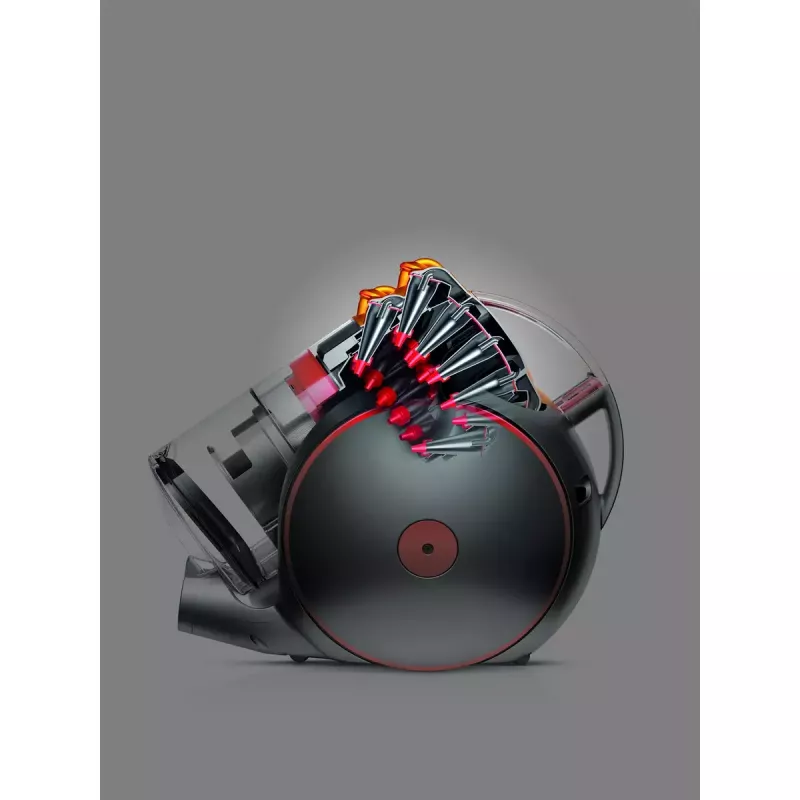 Dyson Cinetic Big Ball Multi Floor 2 230278-01 cilindra putekļsūcējs, 700 W, 0,8 l, bez maisiņa, sudraba krāsas