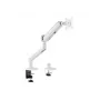 Equip Premium Monitora Galda Stiprinājums 17-35 collas, Balts