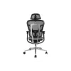 Equip Ergonomic Premium biroja krēsls ar galvas balstu un roku balstiem, pelēks