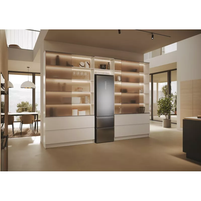 Haier 3D 60 Serie 5 HTW5620DNMG Brīvstāvošs ledusskapis 414 L Sudrabs