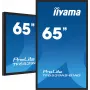 Interaktīvais displejs iiyama TF6539AS-B1AG 64.5 collu skārienjūtīgs LED 3840 x 2160