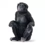 Figūriņa Šleich WILD LIFE Bonobo mātīte 14875 Melna 3 gadi
