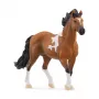 Schleich HORSE CLUB Mangalarga Marchador Ērzelis