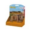 Schleich WILD LIFE Lauva rūcošs Daudzkrāsains Plastmasa 3+ gadi