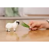 schleich Valais Blacknose Aita, 3 gadi, Saimniecība, Lauksaimniecības dzīvnieki / lauku rotaļlietas, Melns, Balts, Plastmasa