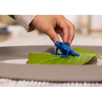 Schleich WILD LIFE TEKA Blue Poison Dart Frog – plastmasas dzīvnieka figūriņa, 3+ gadi