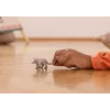 Schleich WILD LIFE Aardvark Grey 14863S Figūriņa