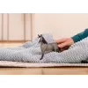 schleich HORSE CLUB Selle Français Ķēve