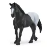 schleich HORSE CLUB Zirgu kaste ar ķēvi un kumeļu, Zirgu novietne, Zirgi, 5 gadi, Daudzkrāsains, Plastmasa