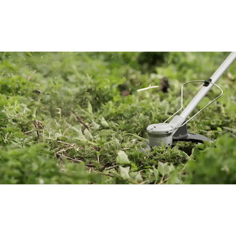 Bosch BrushCut bezvadu zāles šķēres 2.4 mm 36 V Litija jonu (Li-Ion) Zaļa