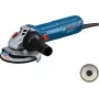 Bosch GWS 12-125 Professional leņķa slīpmašīna 125 mm 11000 apgr./min 1200 W 2,2 kg
