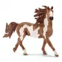 Schleich FARM WORLD Pinto ērzelis, 3 gadi