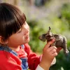 Schleich WILD LIFE Āfrikas zilonis, tēviņš