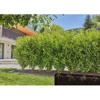 Pilienveida apūdeņošanas sistēma Gardena 13500-20