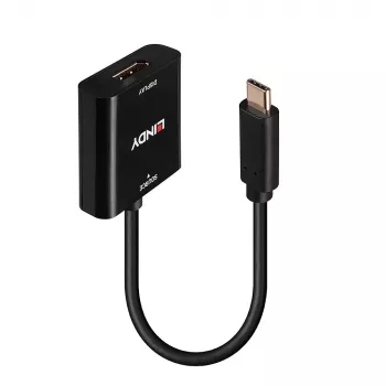 Lindy USB Type-C uz DisplayPort 4K144 Pārveidotājs, USB-C, DisplayPort izeja, 3840 x 2160 pikseļi