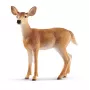 Schleich WILD LIFE Baltastes briedis mātīte