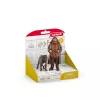 Schleich Hagrid & Fangs