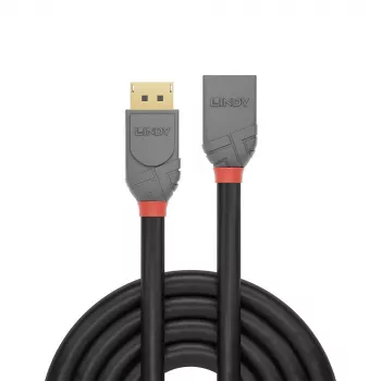 Lindy 1m DisplayPort 1.4 pagarinātāja kabelis, Anthra Line