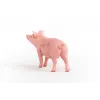 Schleich FARM WORLD cūkas figūriņa 13933, rozā, ieteicamais vecums 3+