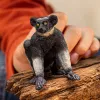 Schleich WILD LIFE Indri figūriņa daudzkrāsaina 14877S