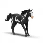 schleich HORSE CLUB Paint Horse ērzelis, 5 gadi, Zirgi, Daudzkrāsains