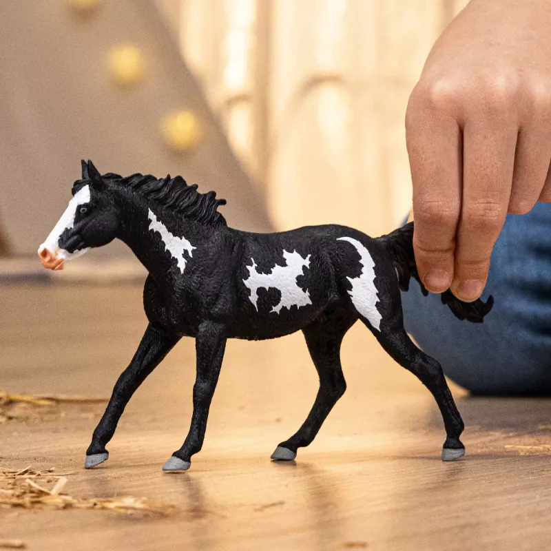 schleich HORSE CLUB Paint Horse ērzelis, 5 gadi, Zirgi, Daudzkrāsains