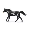 schleich HORSE CLUB Paint Horse ērzelis, 5 gadi, Zirgi, Daudzkrāsains