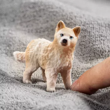 schleich WILD LIFE Arktikas vilcēns, 3+ gadi, Ledus un okeāns, Savvaļas dzīvnieki / piedzīvojumu rotaļlietas, Daudzkrāsains