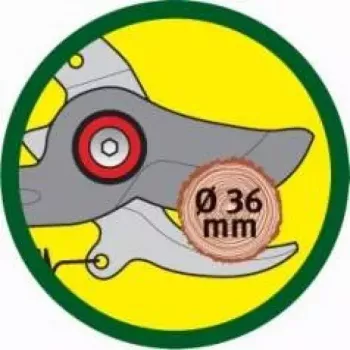 Dārza šķēres WOLF-Garten RR-VM