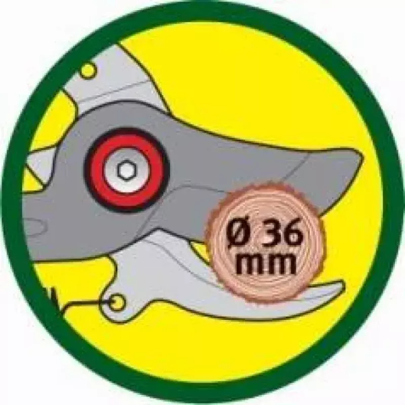 Dārza šķēres WOLF-Garten RR-VM