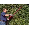 Dzīvžoga šķēres Einhell GC-EH 6055/1