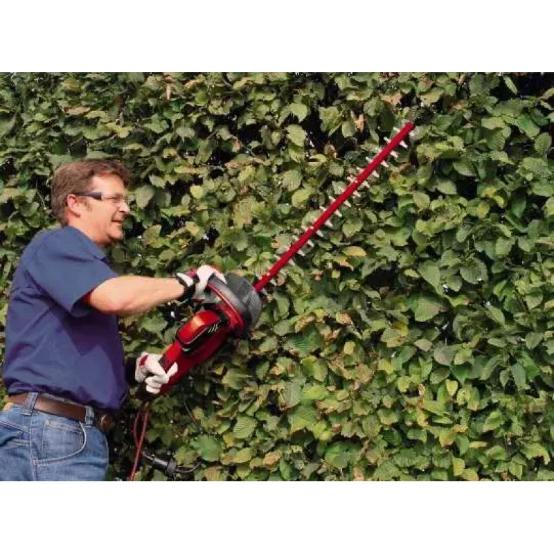 Dzīvžoga šķēres Einhell GC-EH 6055/1