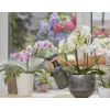 Smidzinātājs Gardena 11114-20