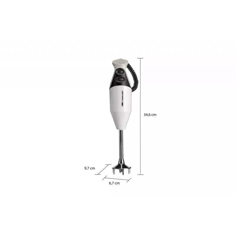 ESGE M 160 G Gourmet 0.6 L iegremdējamais blenderis 160 W antracīts, balts