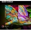 Hisense 85E77Q PRO 2.16 m (85 colli) 4K Ultra HD Smart TV Wi-Fi Melns