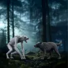 Schleich Wizarding World rotaļu komplekts Harijs Poters Vilkatis pret Animagu figūriņas, kolekcionējamas figūriņas