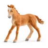 schleich HORSE CLUB Lakeside Riding Center — Jāšanas centrs pie ezera