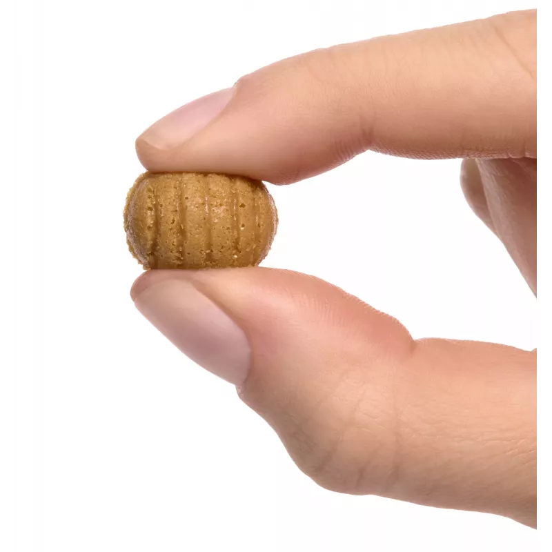 Miniverse Make It Mini From Scratch 2. sērija, 8 gadi, Daudzkrāsains, Plastmasa