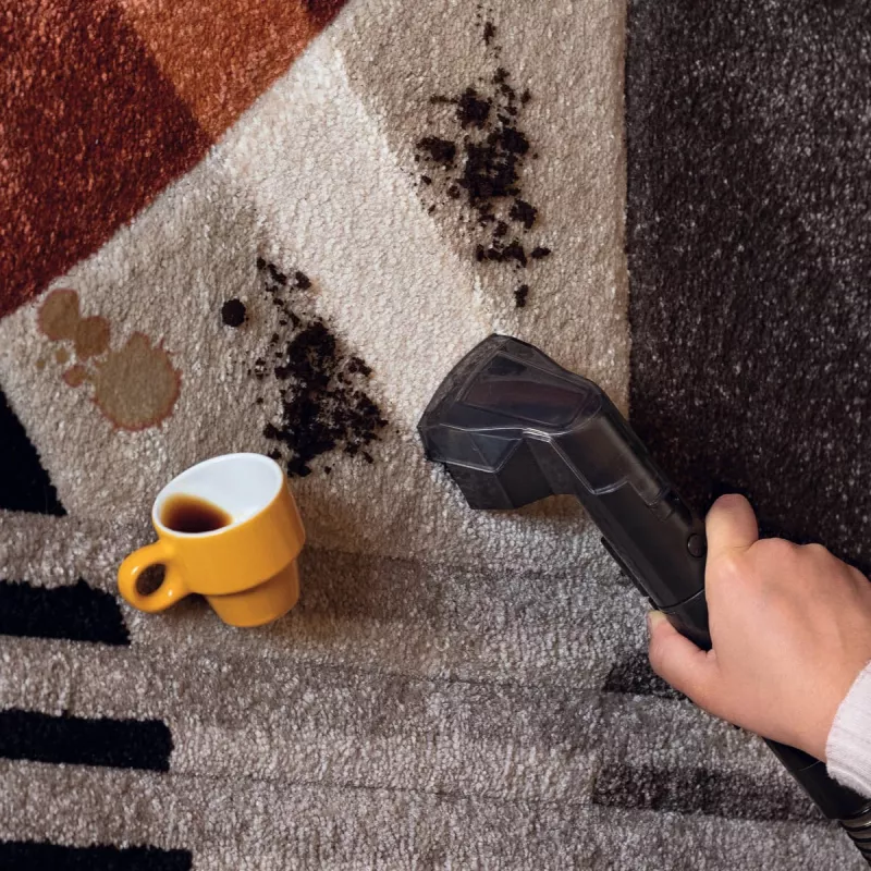 Ariete 2482 Spot Cleaner Heat Pro 750W, paklāju un mīksto mēbeļu tīrītājs, 750W, 2 tvertnes, Melns