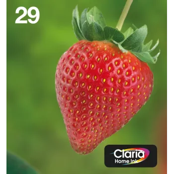 Epson Strawberry Multipack 4 krāsas 29 EasyMail, standarta ietilpība, melna, ciāna, fuksīna, dzeltena, 5.3 ml, 3.2 ml, 1 gab., multi pack