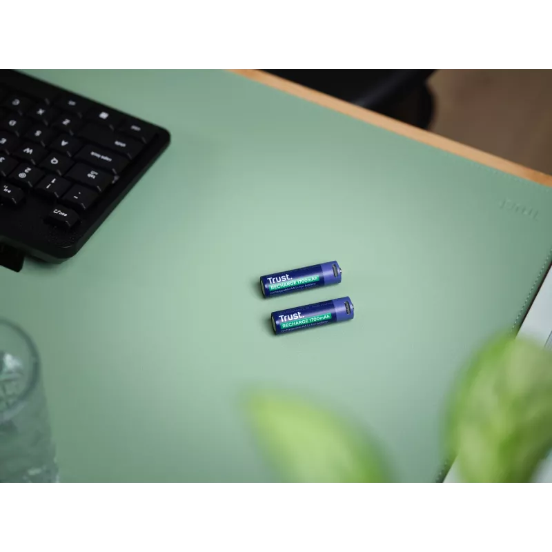 Trust 25584 uzlādējama AA baterija, 2 gab., USB-C