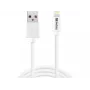 Sandberg USB-Lightning MFI 1m SAVER kabelis, 1 m, Lightning, USB A, tēviņš, tēviņš, balts