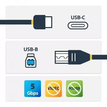 StarTech.com USB-C uz USB-B kabelis - vīriešu/vīriešu - 2 m (6 pēdas) - USB 3.0