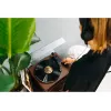 Vinila atskaņotājs ar siksnas piedziņu Lenco LS-430BN Brūns Manuāls 3-4g piespiešanas spēks