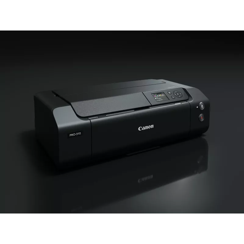 Canon imagePROGRAF PRO-310 tintu printeris krāsains 4800 x 2400 DPI A3+ Wi-Fi