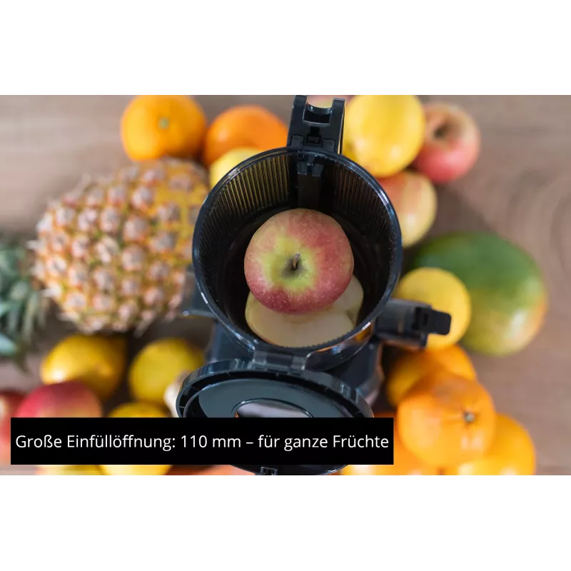 Unold 78275 SLOW JUICER Sam 300 W Charcoal