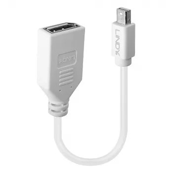 Lindy 0.20m Mini DisplayPort uz DisplayPort adaptera kabelis, 0.15 m, Mini DisplayPort, DisplayPort, Tēviņš, Mātīte, Balts