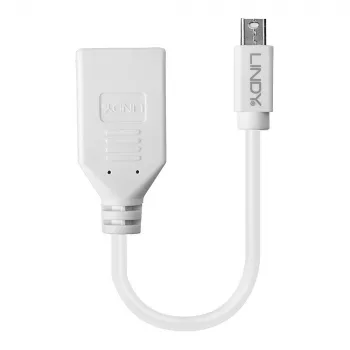 Lindy 0.20m Mini DisplayPort uz DisplayPort adaptera kabelis, 0.15 m, Mini DisplayPort, DisplayPort, Tēviņš, Mātīte, Balts